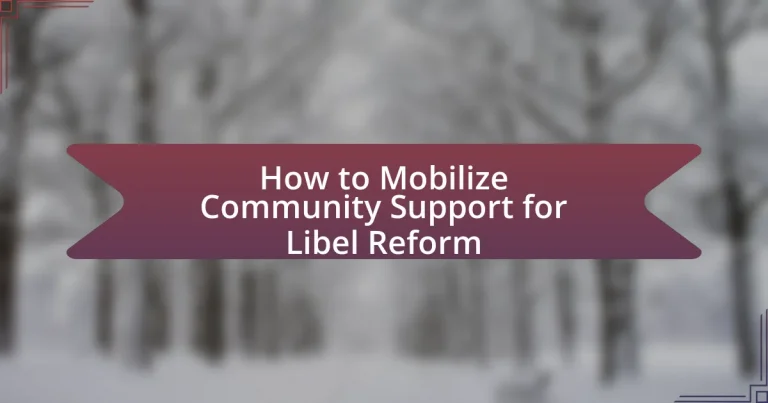 How to Mobilize Community Support for Libel Reform