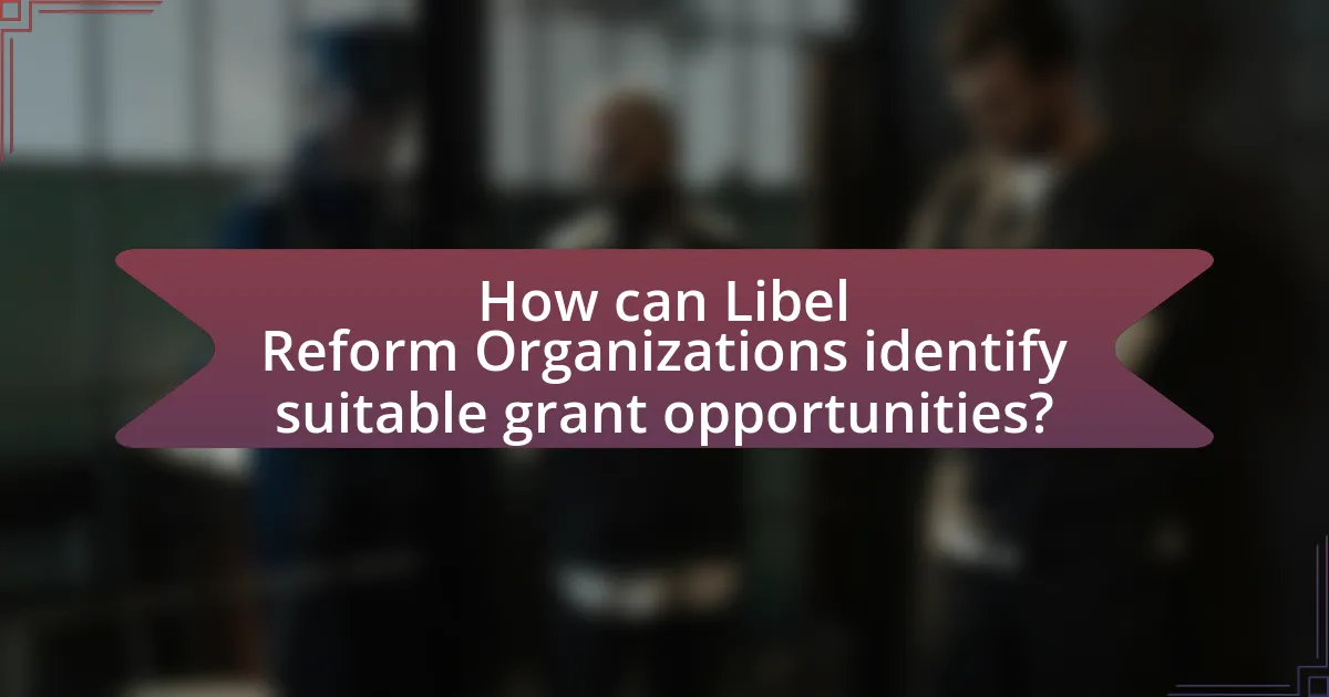 How can Libel Reform Organizations identify suitable grant opportunities?