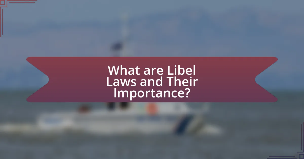 What are Libel Laws and Their Importance?