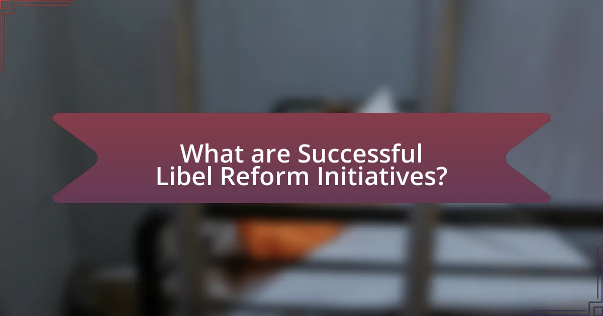 What are Successful Libel Reform Initiatives?