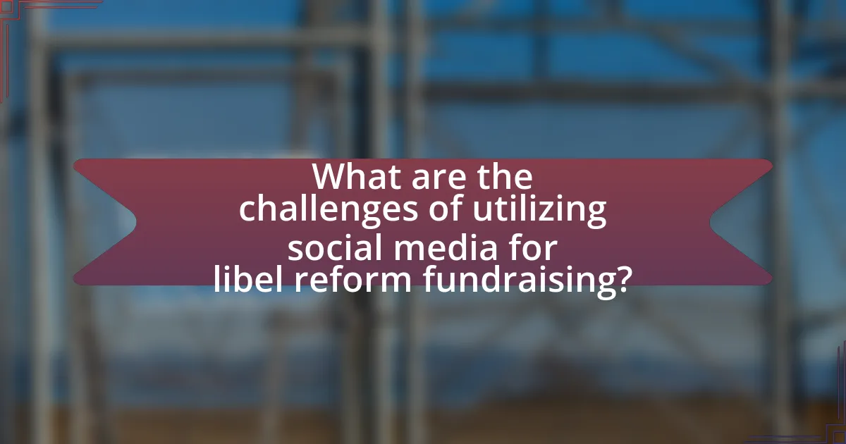 What are the challenges of utilizing social media for libel reform fundraising?