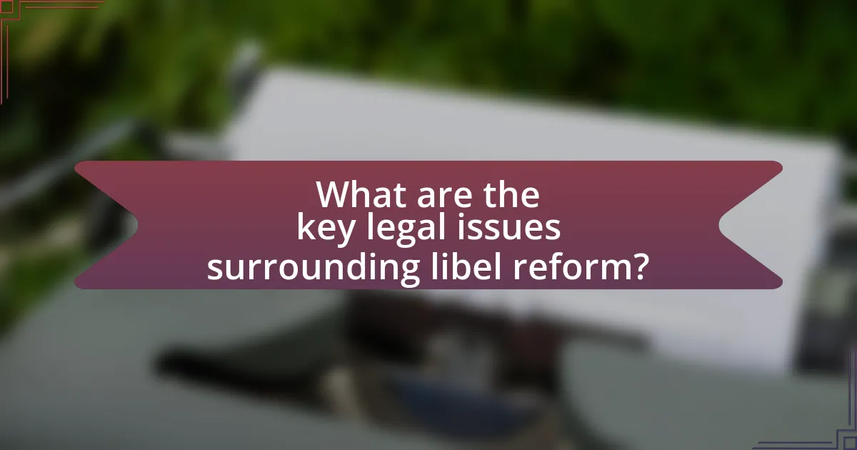 What are the key legal issues surrounding libel reform?