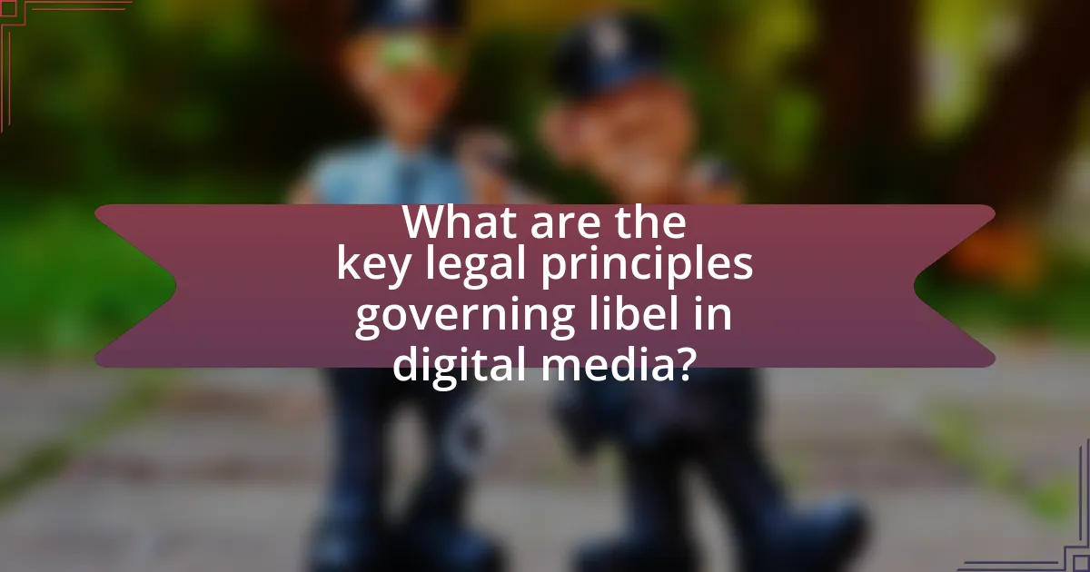 What are the key legal principles governing libel in digital media?