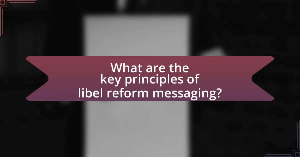 What are the key principles of libel reform messaging?
