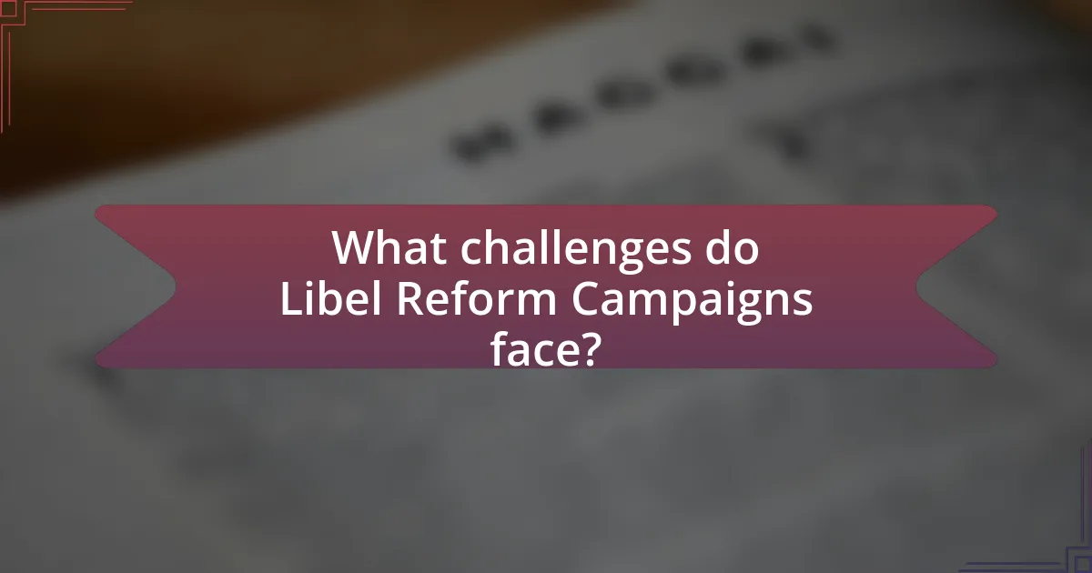 What challenges do Libel Reform Campaigns face?