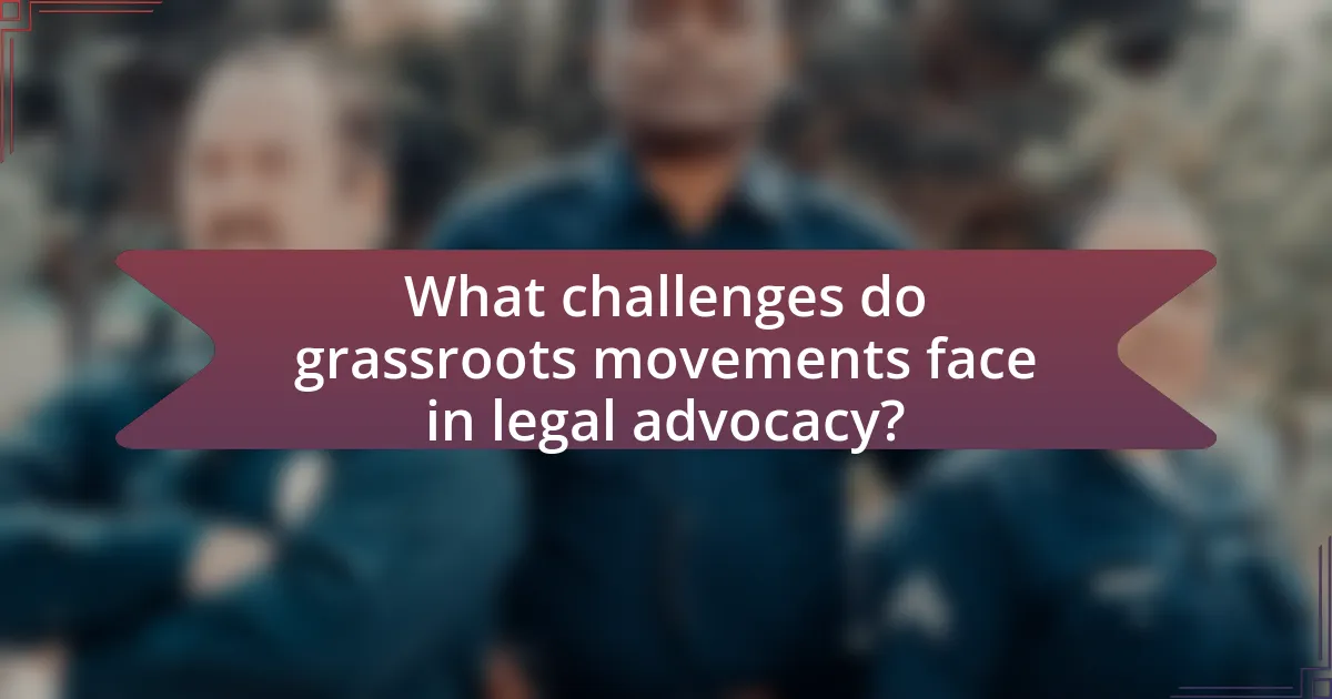 What challenges do grassroots movements face in legal advocacy?