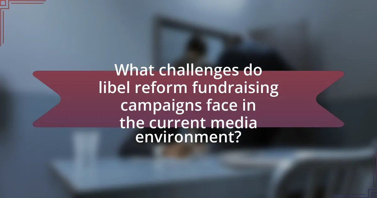 What challenges do libel reform fundraising campaigns face in the current media environment?