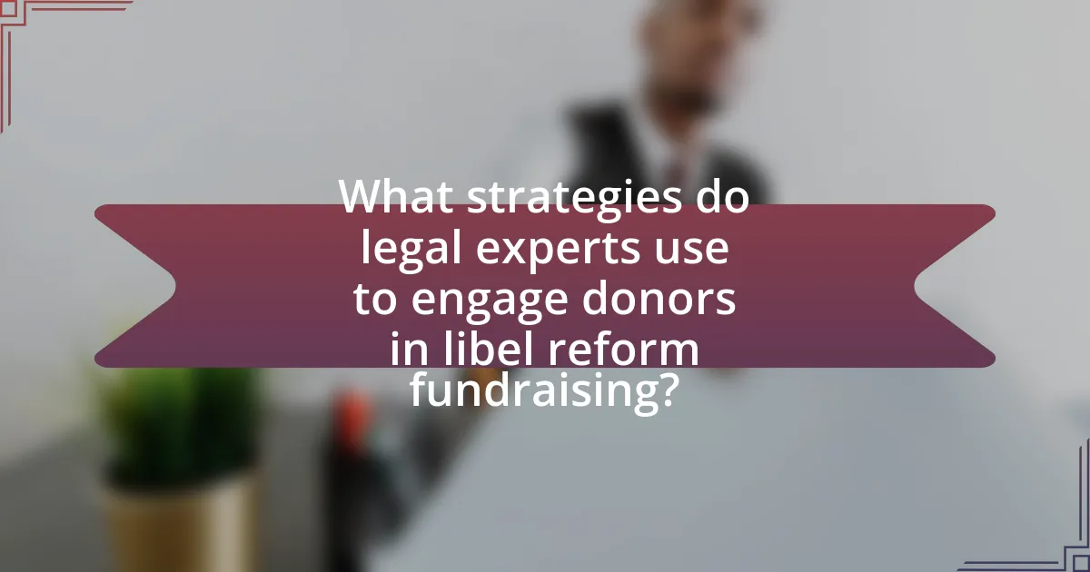 What strategies do legal experts use to engage donors in libel reform fundraising?